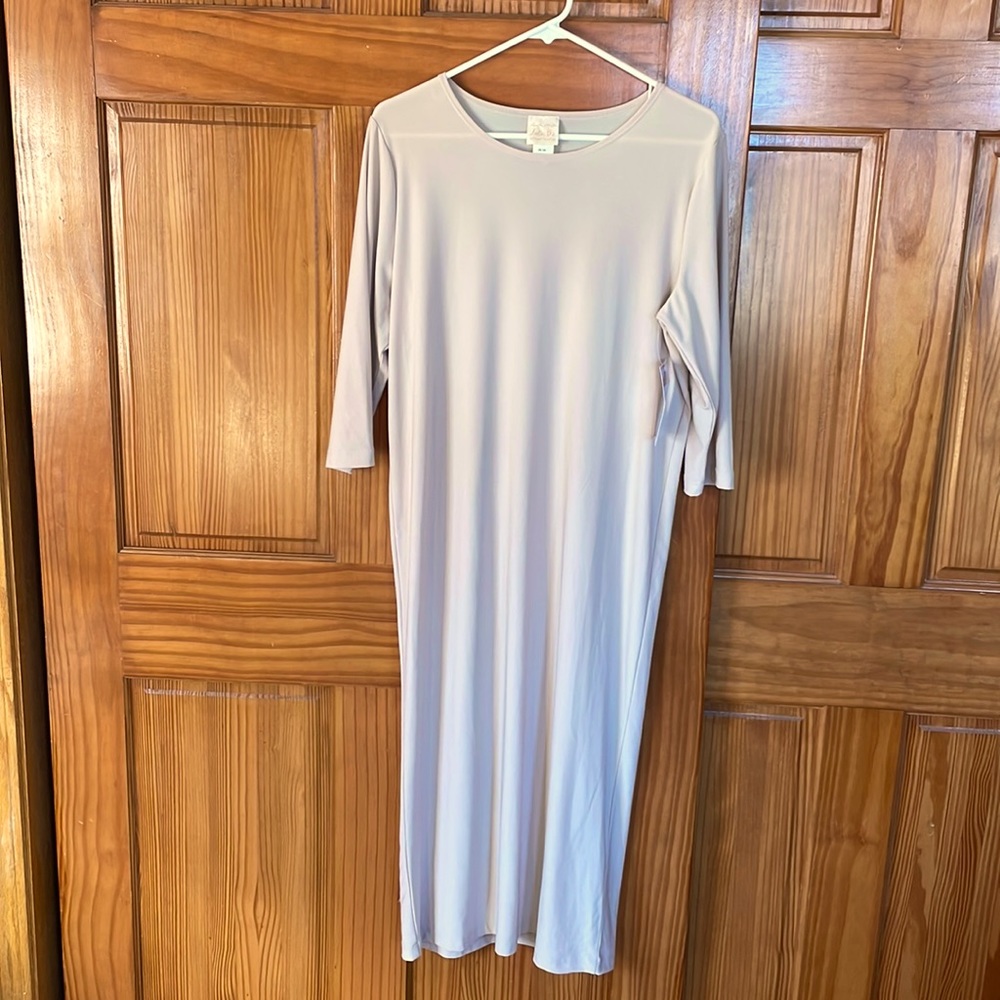 NWT Light tan Zadie Bs layering dress
